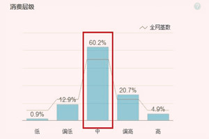 淘寶買家消費(fèi)層級(jí)怎么提升